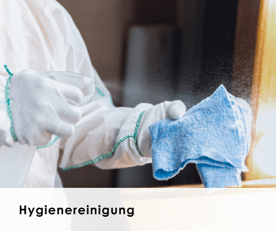 Hygienereinigung