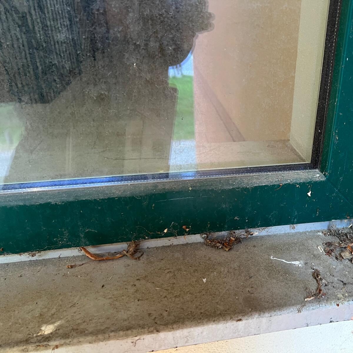 Fenster und Glasreinigung Ingolstadt Vorher